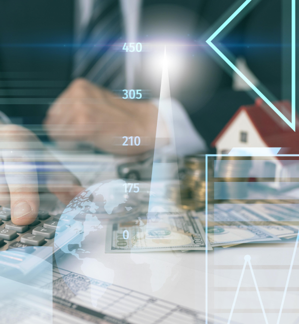 About Digi Finance Pro